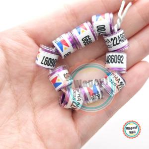 10/20/50Pcs PHA Pigeon Ring 2024 sing sing ng kalapati 2024 Oval Dove Clip Ring Club Ring Pigeon Accessories
