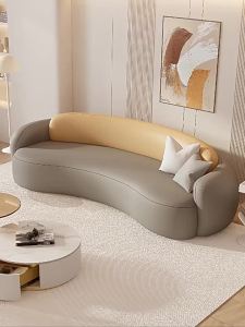 Sofa living room 2024 new small apartment double home sofa three-seater curved clothing store sofa