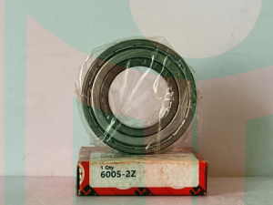 VÒNG BI 6005-2Z FAG ( Hàng nhập khẩu )