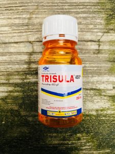 Insektisida Sistemik pengendali kutu putih thrips TRISULA 450SL dr kapal terbang mantap