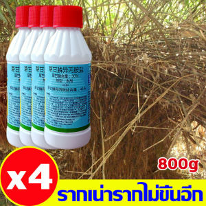 💥ป่าไผ่กลายเป็นที่รกร้าง💥 ยาฆ่าไม้ไผ่ ยาฆ่าต้นไม้ สูตรเข้มข้น 1ขวดเท่ากับ10ขวด สารกำจัดกอไผ่  200ML เหมาะสำหรับกำจัดวัชพืช ต้นไม้ และไผ่ทุกชนิด ไม่ทำลายดิน ยาฆ่าไผ่ สารกำจัดต้นไม้ ผงกำจัดกอไผ่ ผงฆ่าต้นไม้ ปุ๋ยกำจัดกอไผ่ ยากำจัดวัชพืช กำจัดวัชพืช