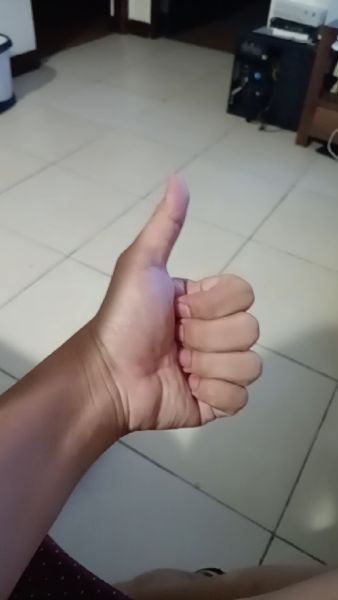 Buyer review video 2
