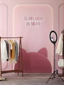 Hanging cloth 3d 3D Live Streaming Background Cloth Bogu Rack Study Room Live Streaming Background Wall Same Style High-End Background Cloth