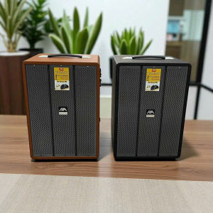 (Màu ngẫu nhiên) Loa di động Nova Audio F-30max công suất RMS 120W.