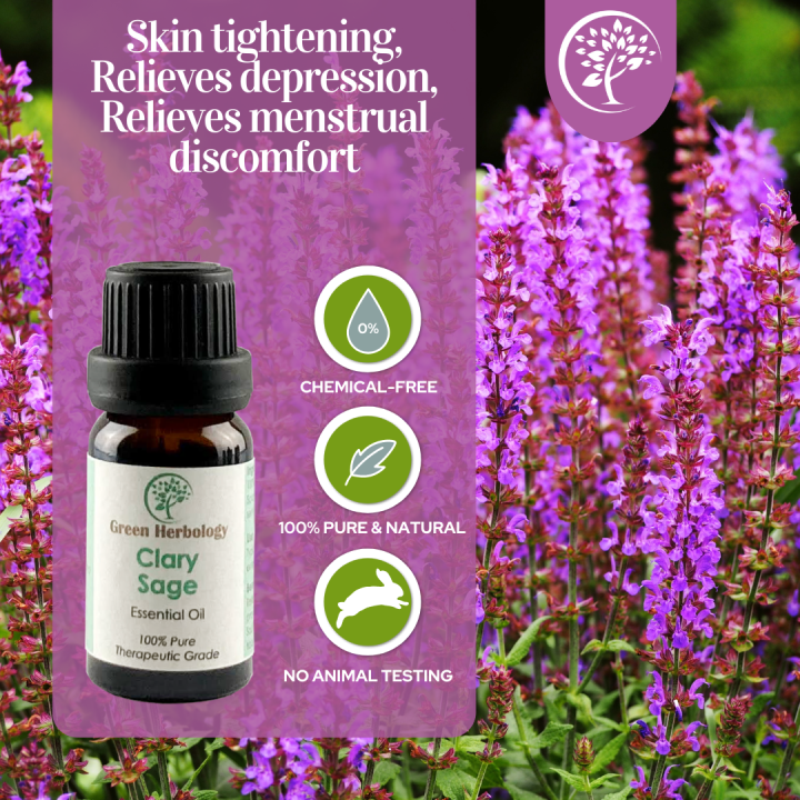 Pure Clary Sage Essential Oil 10ML Lazada
