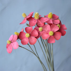 Hoa khô - Hoa Cánh Bướm Gỗ trang trí decor lọ hoa để bàn phụ kiện chụp ảnh quà tặng handmade