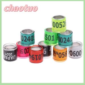 chaotuo 20 pcs Pigeon Foot Ring With Word Earrings 2024 Multicolor Bird Tools