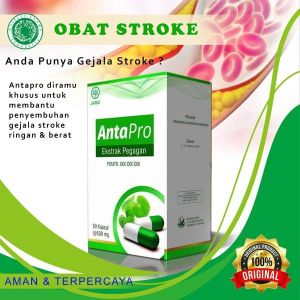 Obat Stroke Tradisional Ampuh - Kembali Sehat Tanpa Efek Samping ANTAPRO BHARATA