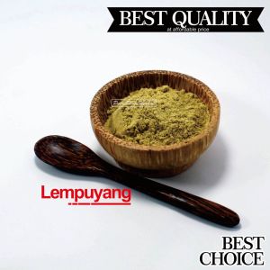 Lempuyang Bubuk 250 Gram - Serbuk Puyang (Zingiber zerumbet Powder)