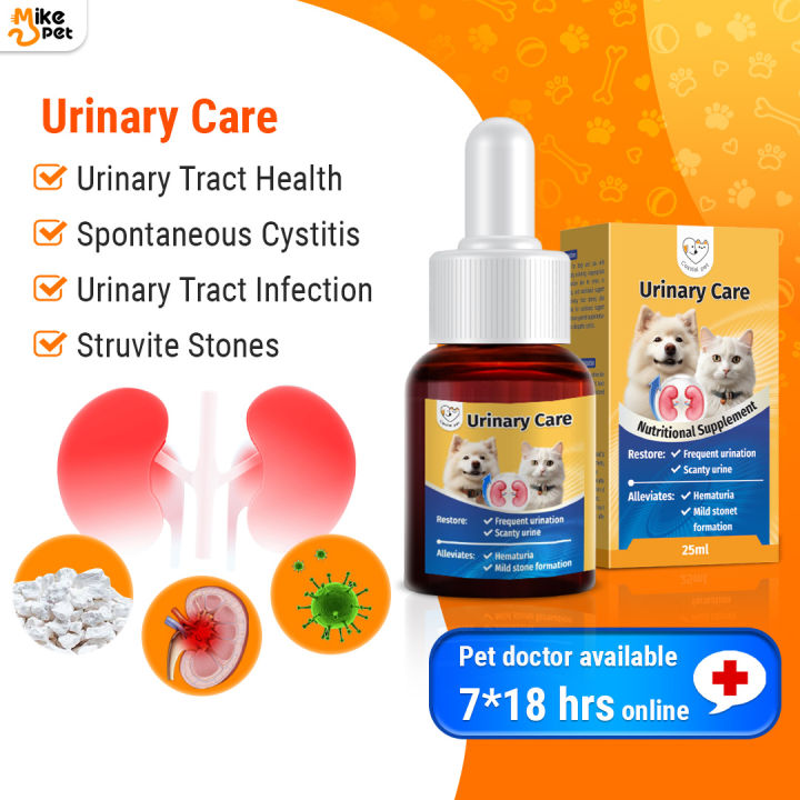 Canine urinary tract infection treatment best sale