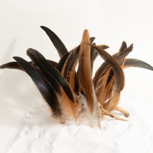 BRMU4 20Pcs Decorative Feather Plumes Rooster Tail Feathers 25-30cm Length Natural Feather Costume Feathers Firm Quill Feather Jewelry Making Costume Accessories