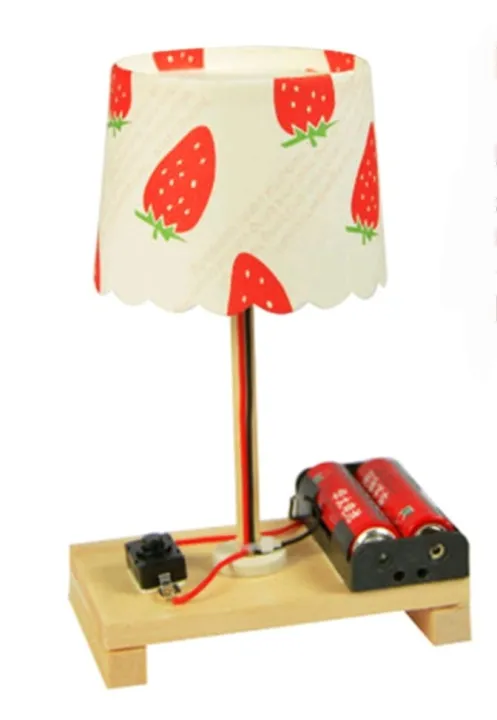 STEM) Ready Stock DIY Experimental Table Lamp for Early Learning