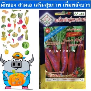 AAA 🇹🇭 ผักซอง สามเอ A161#ผักกาดหัว ลองเรด เมล็ดพันธุ์ เมล็ดพันธุ์ผัก เมล็ดผัก ผักสวนครัว ตราAAA