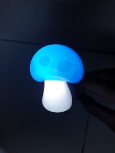 Đèn Ngủ gắn tường ổ cắm (có công tắc) nhiều hình nhiều kiểu