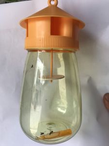 Bộ bẫy ruồi vàng đục trái 1 bẫy 1 ống mồi Cách Sử Dụng Bẫy Ruồi Vàng Hiệu Quả Dụ Ruồi Bằng Chất Dẫn Dụ - Lazada