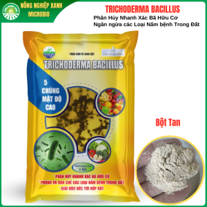NẤM TRICHODERMA BACILLUS Cao Cấp Cải Tạo Đất Ủ Phân Hữu Cơ Bột Tan Trừ Nấm Bệnh 1 KG