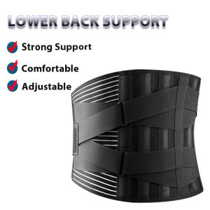 Professional Lumbar Back Support Belt with 6 Stays Anti-skid Double Pull Lower Back Braces for Men Women Sciatica Waist Pain Relief