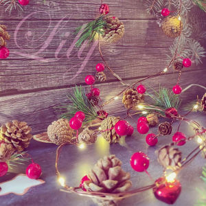 (Sg Seller) Luxury & High QUALITY Christmas Xmas Fesitive Led Lighting Natural Acorn Pine Jingle 2m 20LED 3AA Batteries Environment Friendly Products Christmas Ornmental