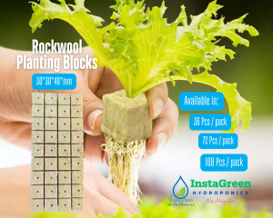 Rockwool Planting Blocks for Seed Planting and Germination Hydroponics