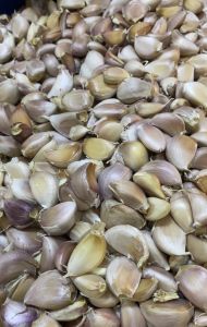 กระเทียม กระเทียมจีน กระเทียมแกะ คัดพิเศษ นำเข้าจากต่างประเทศ