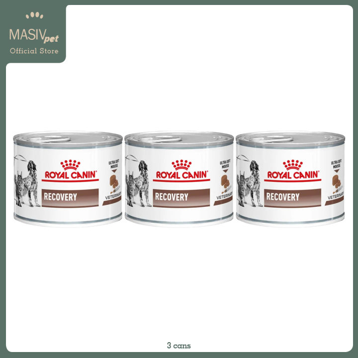 Royal Canin Recovery Can 195g Wet Food for Dog or Cat, Canine or Feline  Veterinary Diet