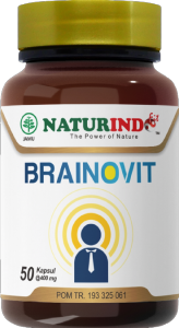 Obat Depresi Stres Penenang Pikiran Cemas Gelisah Pereda Emosi Susah Tidur Brainovit Naturindo