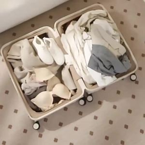 Homefish 6 Pcs Set Packing Cubes Compressible Travel Storage Bags Waterproof Portable Suitcase Luggage Organizer with Handle2026