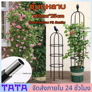 สต็อกไทย ซุ้มกุหลาบ ซุ้มไม้เลื้อย เหล็ก ซุ้มไม้เลื้อย pvc  rose arch rose trellis Ivy arch strong steel rust proof wrought iron frame height: 145. Diameter 28cm