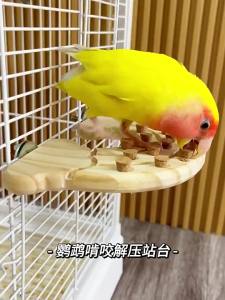 [DANDELION]Wood Cheese Donut Shape Bird Stand Platform Toy with Cork Grinding Chew Educational Toy forHamster Parrot Cage Accessories