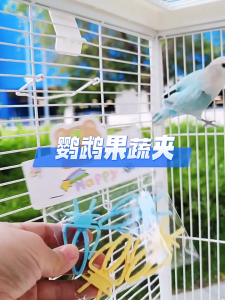 Parrot Cage Clip Vegetable Holders For Fruits Veggies Encourages Natural Foraging Behavior Easy to Wash