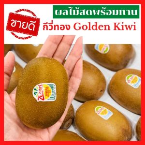 🚚ส่งเร็ว กีวี่สด นำเข้า กีวี่ทอง Golden KIWI  4ลูก NewZealand ลดพิเศษ Premium หวานเจี๊ยบ กีวีทอง กีวีสีทอง นิวซีแลนด์ กีวี่สด กีวี่สีทอง ผลไม้สด