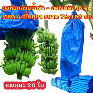 แพคละ 20 ใบ ถุงห่อกล้วยน้ำว้า กล้วยคาเวนดิช ขนาด 76 x 153 ซม. คุณภาพดีที่สุด เนื้อหนา ใช้ซ้ำได้ ราคา 195 บาท
