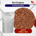 ฟ่างแดงเม็ดใหญ่ Red Dari อาหารนก กระต่าย หนู กระต่าย กระรอก ชูก้า และสัตว์ฟันแทะ อาหารสำหรับสัตว์เลี้ยง (แบ่งขาย 500G / 1KG). 