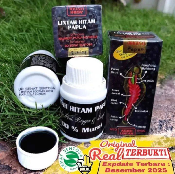 Minyak Lintah Hitam Yang Asli Papua Original Isi 60 Ml Lazada Indonesia