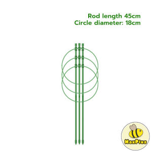 MaxPlus Climbing Vine Flower Stand Flower Plant Support Rod Frame Dill 45cm 60cm Gardening Supplies