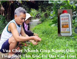 Vua Lửa Cháy 100ml - Thuốc Trừ Cỏ Hiệu Quả Nhanh Đánh Bay Cỏ Dại Cứng Đầu