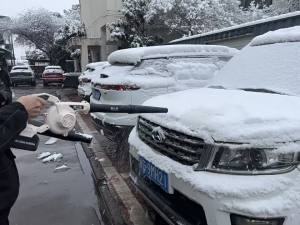 Quick-Drying [2024] China Shipping Electric Hair Dryer Snow Blowing Leaves Blowing Dust Collector Dual-Use Industrial Grade Portable Wireless Lithium Battery Brushless Blower