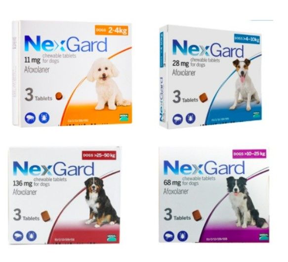 Nexgard lazada shop