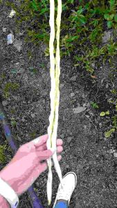 60 Seeds for Planting Binhi Pantanim Long Sitaw