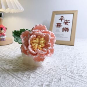 LABAICAI Handmade Crochet Peony Bouquet Gradient Color Wool Hand-woven Peony Everlasting Flower Simulation Flower Artificial Flower Mothers Day