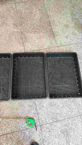 ถาดไดโซะแบบมีรู แพ็คละ 3 ใบ