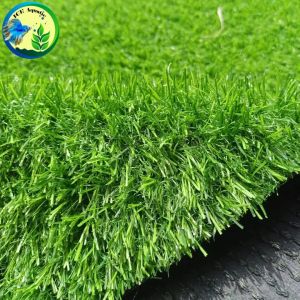 RUMPUT AQUARIUM 20X20X3 CM RUMPUT SWISS PREMIUM DEKORASI AKUASCAPE