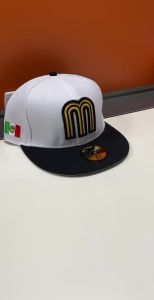 Custom Logo 3D Embroidery High Quality 6 Panel Basketball Baseball Embroidered Logo Mlbing Sports Cap 32 Team Nfling Hat