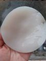 scoby kombucha, Scoby Kombucha , con giống làm trà kombucha, hay còn gọi là trà bất tử. 