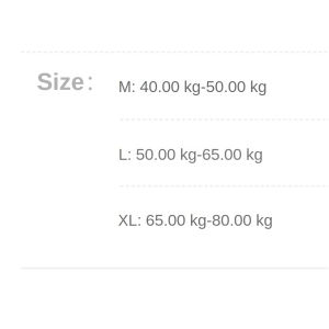 oobest Five-point Sports Skirt Pants Womens Summer Fake Two-piece Anti-exposure Yoga Skirt Pants Running Fitness Pleated Shark Pants