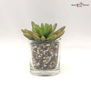 กระถางแคคตัสปลอม ต้นไม้ปลอมมินิมอล