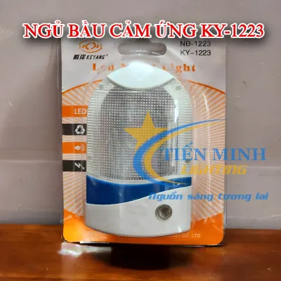 Đèn ngủ cảm ứng bầu KY-1223 sẽ tự động phát sáng khi trời tối và tắt khi trời sáng led siêu bền