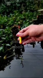 Pelampung pancing fiber batch 5