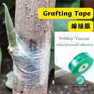 Nursery Grafting Tape Tape Khawin Pokok Parafilm 嫁接膜 绿色膜 Stretchable for Trees Tut Cantuman Pokok