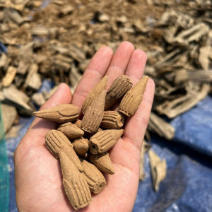 Nụ trầm hương CAO CẤP xông nhà Tịnh An nguyên liệu trầm hương tự nhiên 15 năm khói chảy ngược